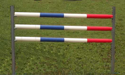 barnotti